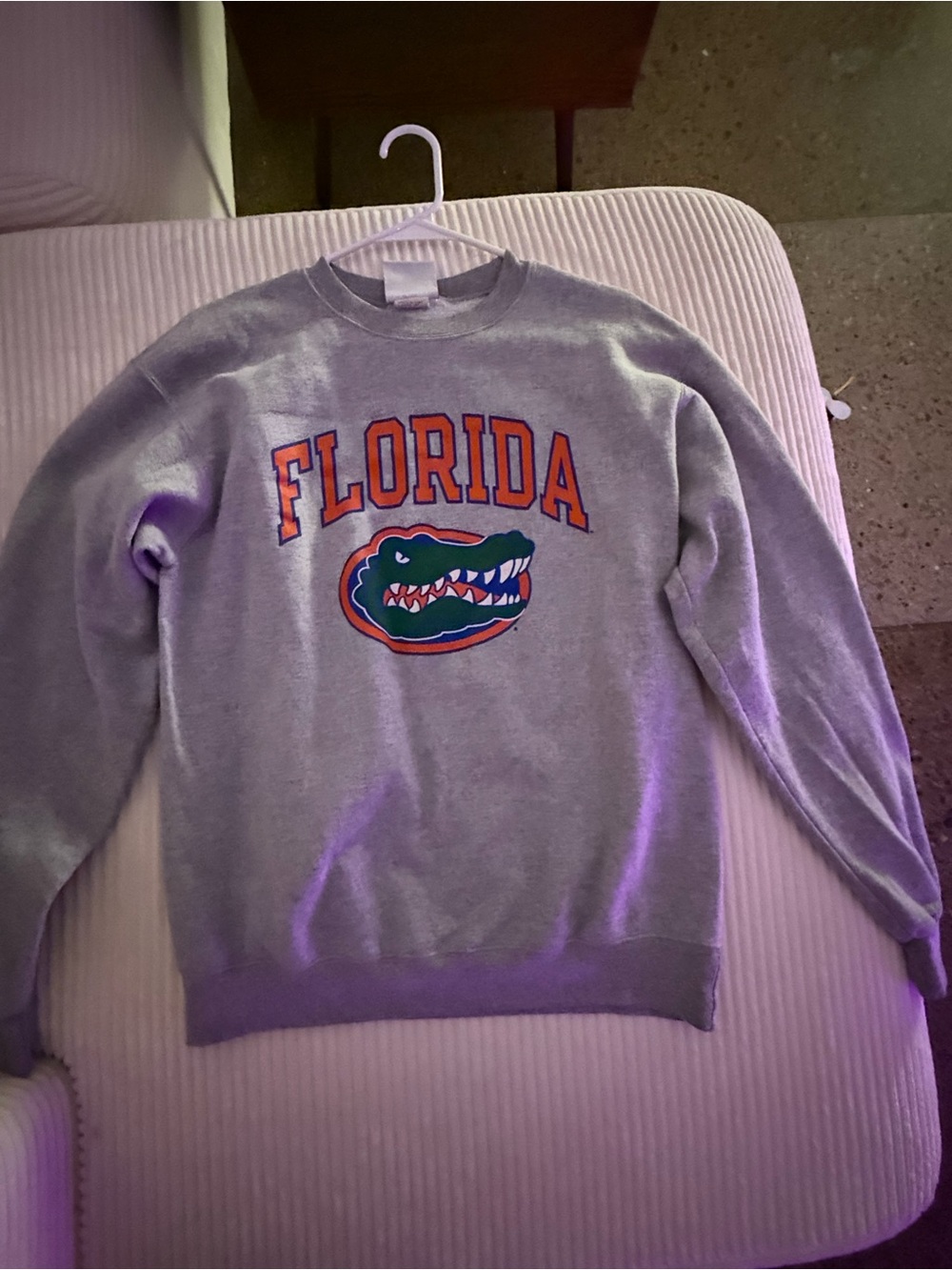 Champion Gray Florida Gators Crewneck Sweatshirt with Orange & Green Logo